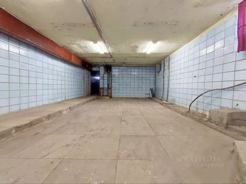 Склад в Саратовская область, Саратов просп. Имени 50 лет Октября, 124 ... - Фото 1