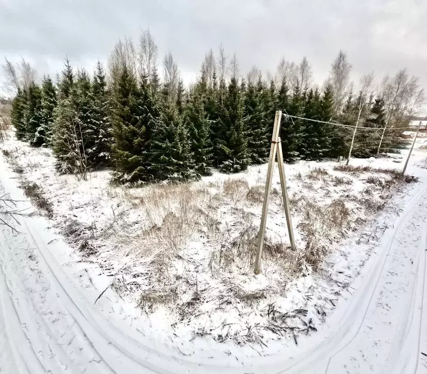 Участок в Московская область, Клин городской округ, Подсолнухи кп ул. ... - Фото 1