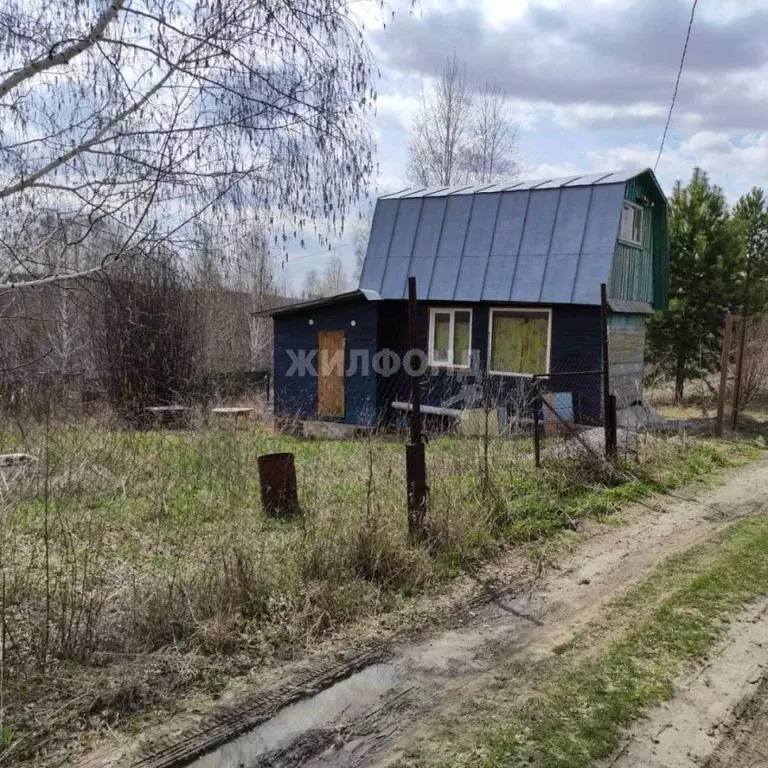 Дом в Новосибирская область, Новосибирск Труд садовое товарищество,  ... - Фото 1