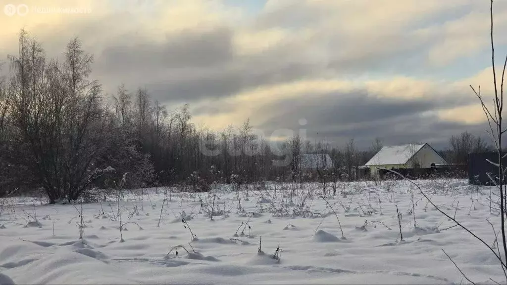 Участок в Ленинградская область, Кириши (10 м) - Фото 2