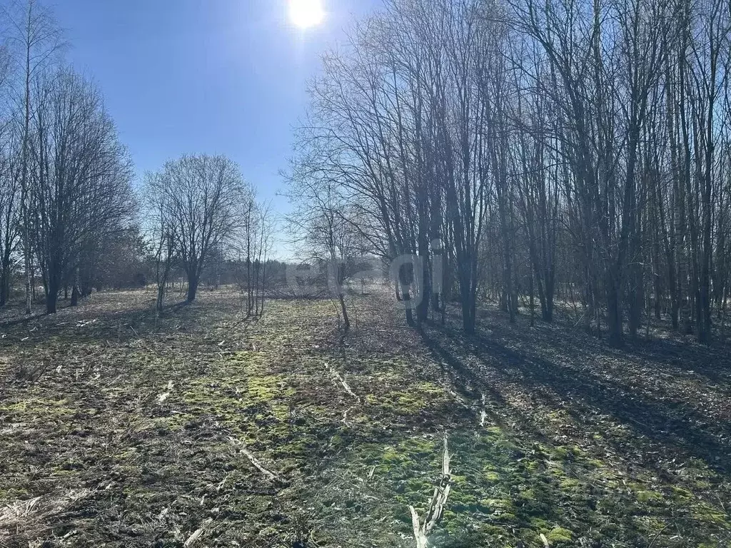 Участок в Ярославская область, Рыбинский муниципальный округ, д. ... - Фото 2