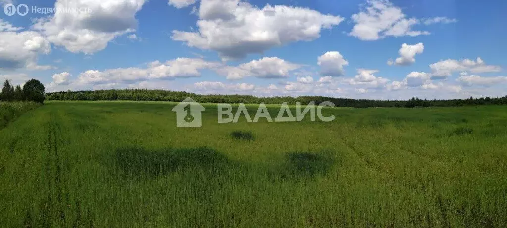 Участок в Вологодский муниципальный округ, деревня Ивановка (30 м) - Фото 1