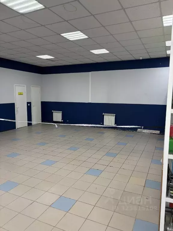 Торговая площадь в Алтайский край, Барнаул ул. Пионеров, 13Б (35 м) - Фото 2