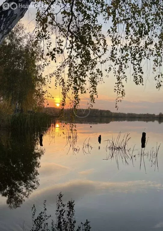 Участок в Станционный сельсовет, ДНТ Гвардия, Радужная улица, 17 (10 ... - Фото 2