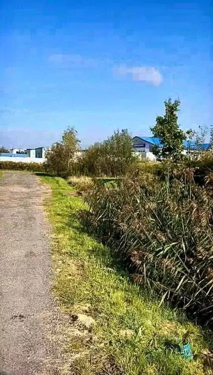 Участок в Калининградская область, Зеленоградский муниципальный округ, ... - Фото 2