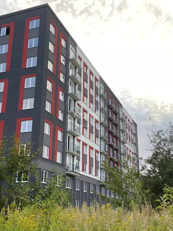 2-к кв. Калининградская область, Калининград Александра ... - Фото 0