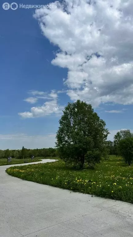 Участок в село Озерецкое, Садовая улица (10.1 м) - Фото 1