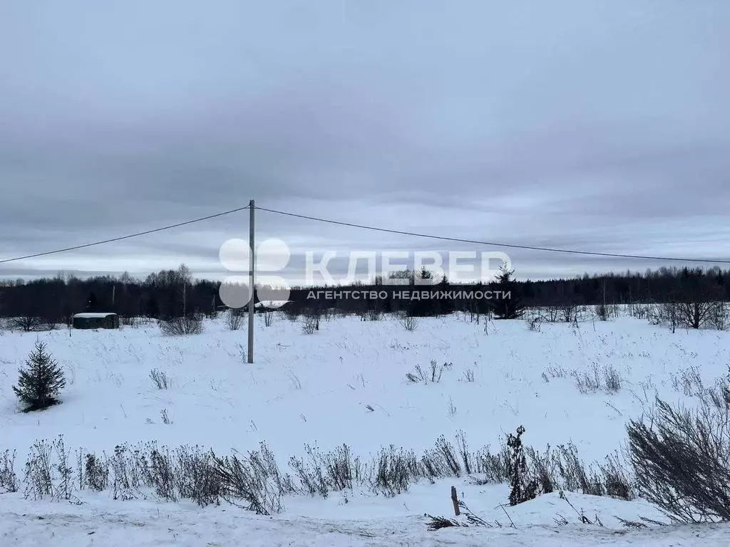 Участок в Пермский край, Чернушинский городской округ, с. Деменево ул. ... - Фото 0