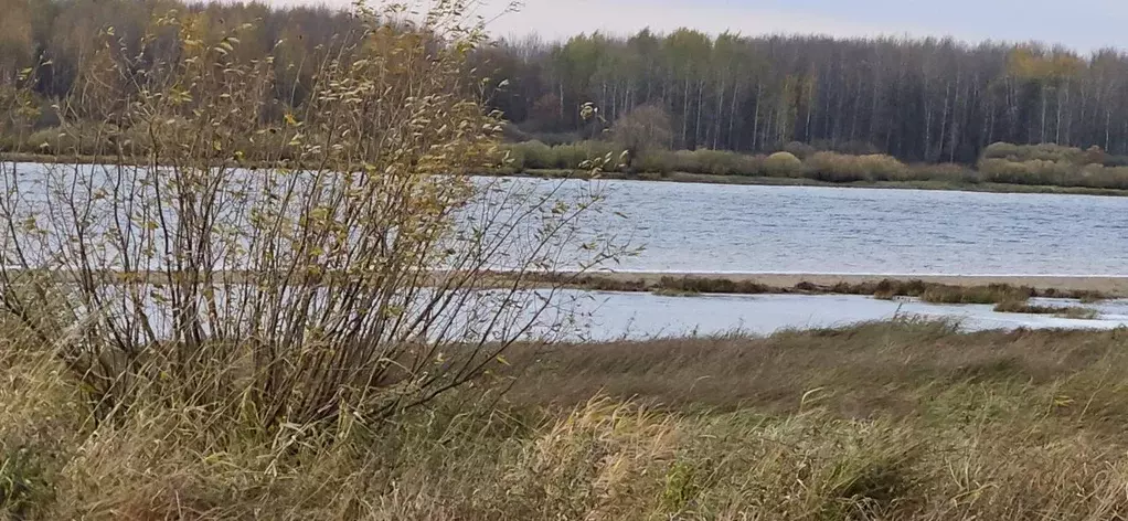 Участок в Новгородская область, Шимское городское поселение, д. Старый ... - Фото 1