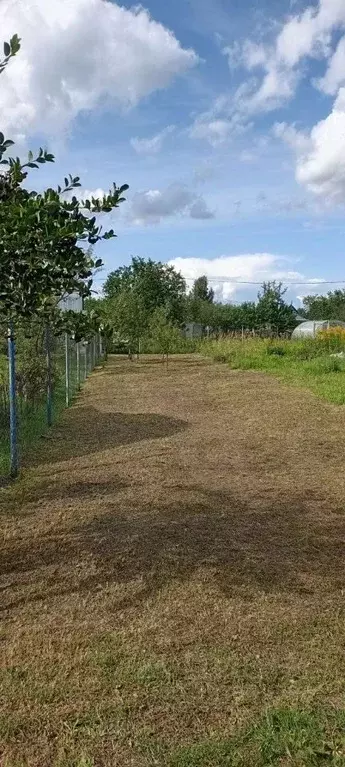 Участок в Нижегородская область, Богородский муниципальный округ, ... - Фото 1