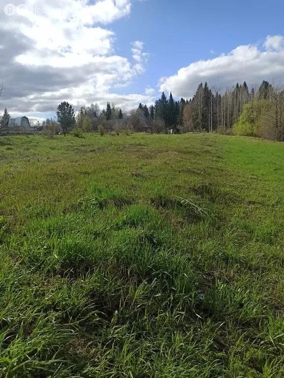 Участок в Кирово-Чепецкий район, Федяковское сельское поселение, ... - Фото 1