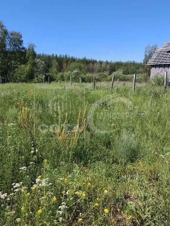 Участок в Воронежская область, с. Новая Усмань ул. Подлесная, 42 (6.0 ... - Фото 2