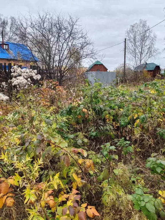 Участок в Челябинская область, Аргаяшский муниципальный округ, Березка ... - Фото 1