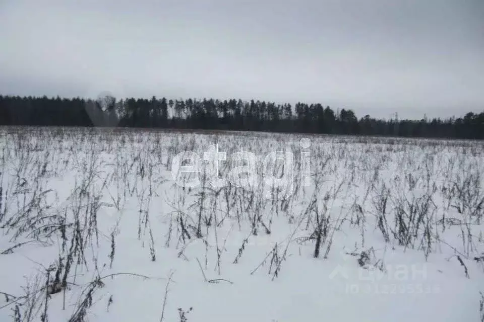 Участок в Татарстан, Высокогорский район, с. Большие Ковали  (9210.0 ... - Фото 0