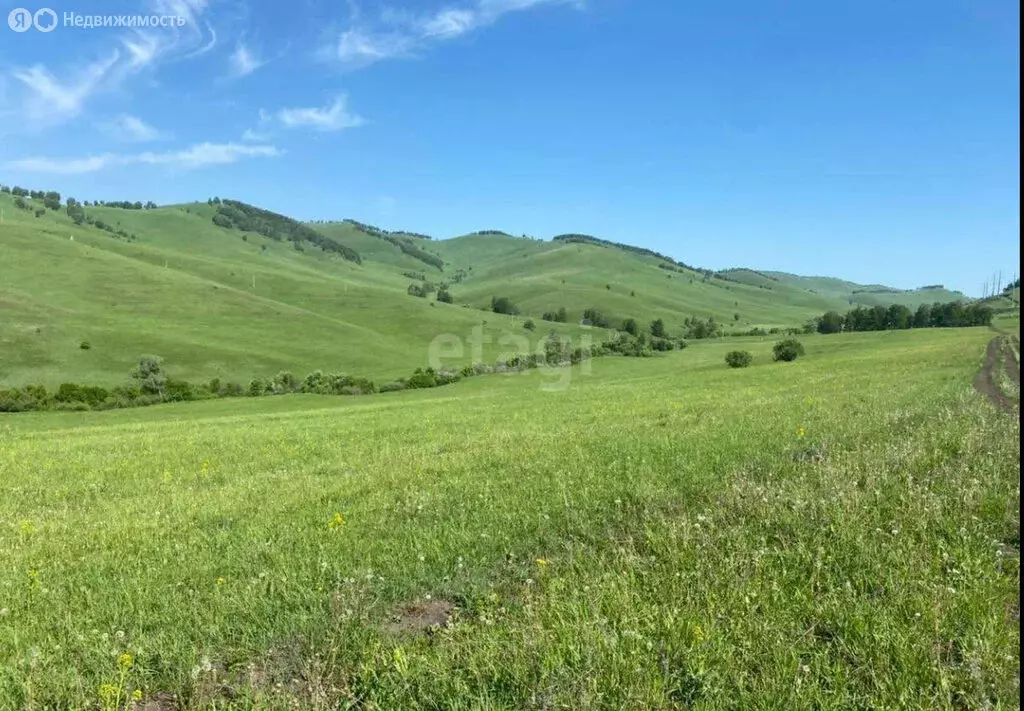 Участок в Алтайский район, село Ая (12.5 м) - Фото 1