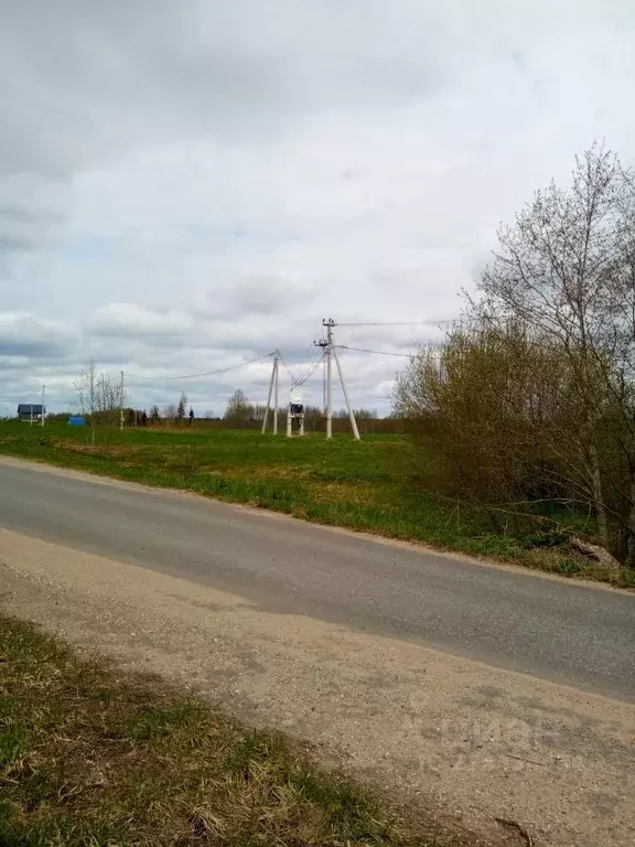 Участок в Новгородская область, Окуловский район, Турбинное с/пос, д. ... - Фото 2