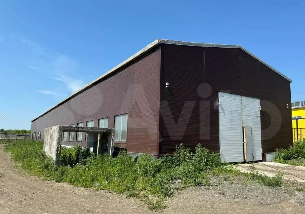 Помещение свободного назначения в Кемеровская область, Кемерово ул. ... - Фото 1