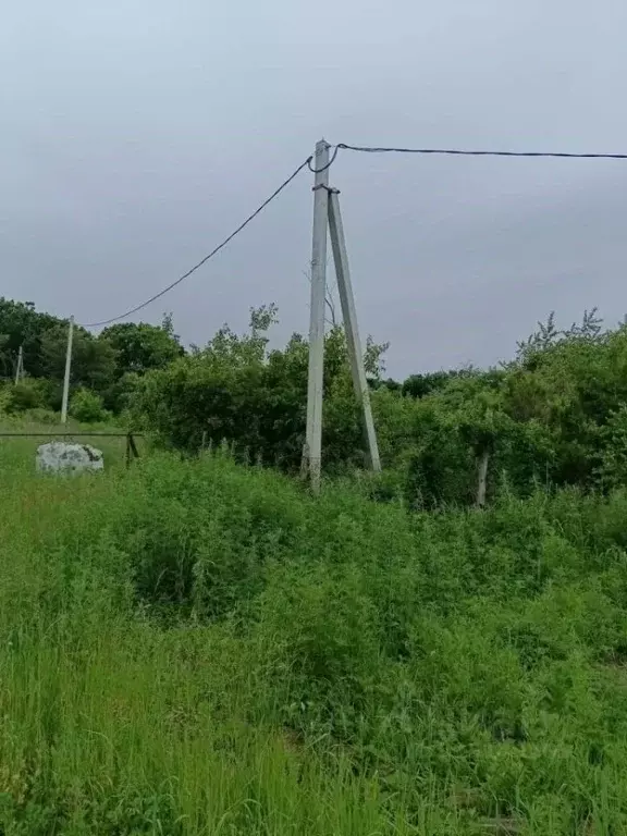 Участок в Приморский край, Партизанский муниципальный округ, с. ... - Фото 1
