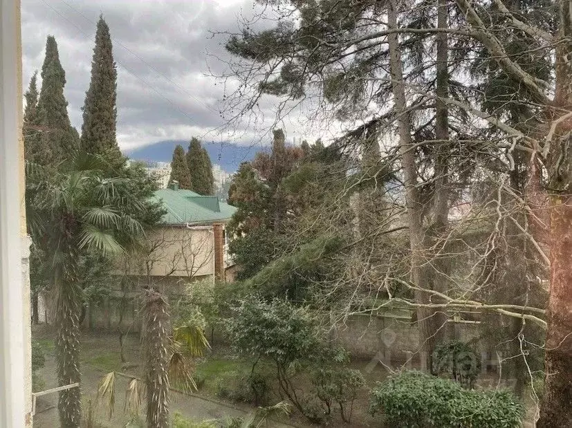 2-к кв. Крым, Ялта ул. Блюхера, 10 (44.3 м) - Фото 2