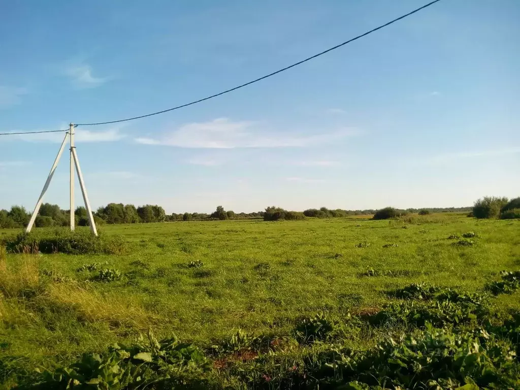 Участок в Новгородская область, Новгородский район, Бронницкое с/пос, ... - Фото 0