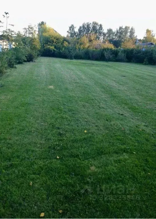 Участок в Московская область, Мытищи городской округ, д. Большое ... - Фото 2