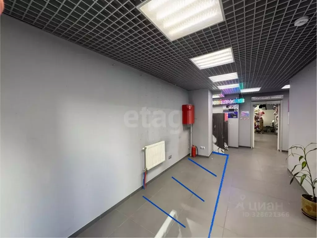 Помещение свободного назначения в Санкт-Петербург ул. Русановская, ... - Фото 2