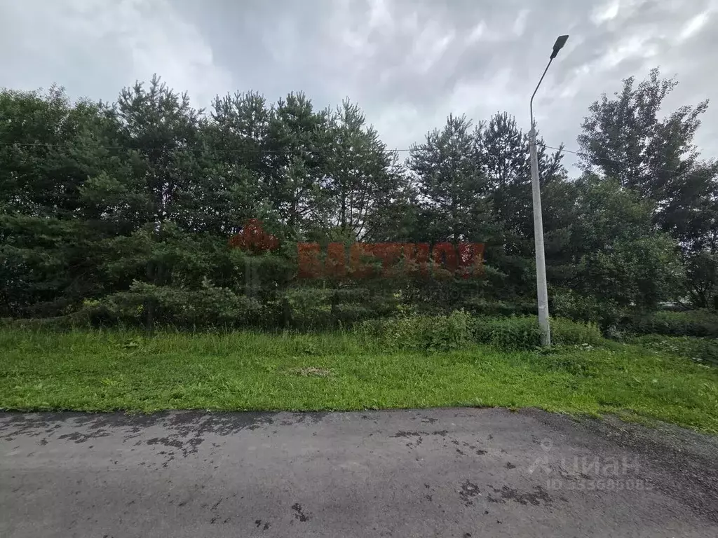 Участок в Московская область, Богородский городской округ, с. Ямкино ... - Фото 2