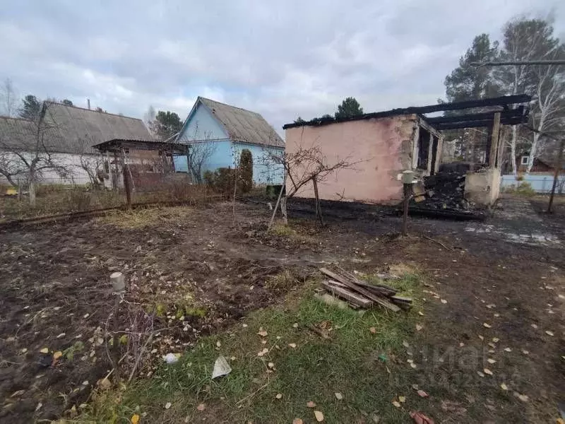 Участок в Пензенская область, Пенза Сосенки садовое дачное ... - Фото 1