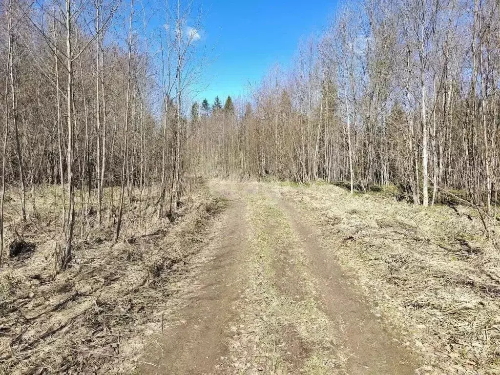 Участок в Ленинградская область, Волховский район, Вындиноостровское ... - Фото 1