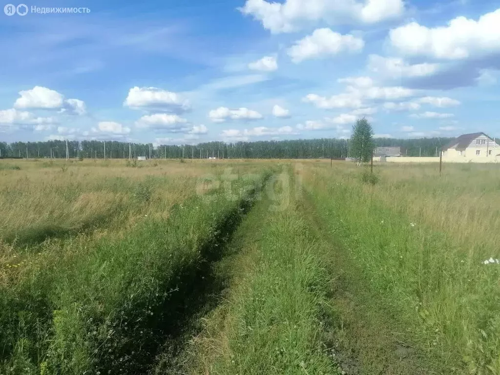 Участок в Омский район, село Усть-Заостровка (12.26 м) - Фото 0