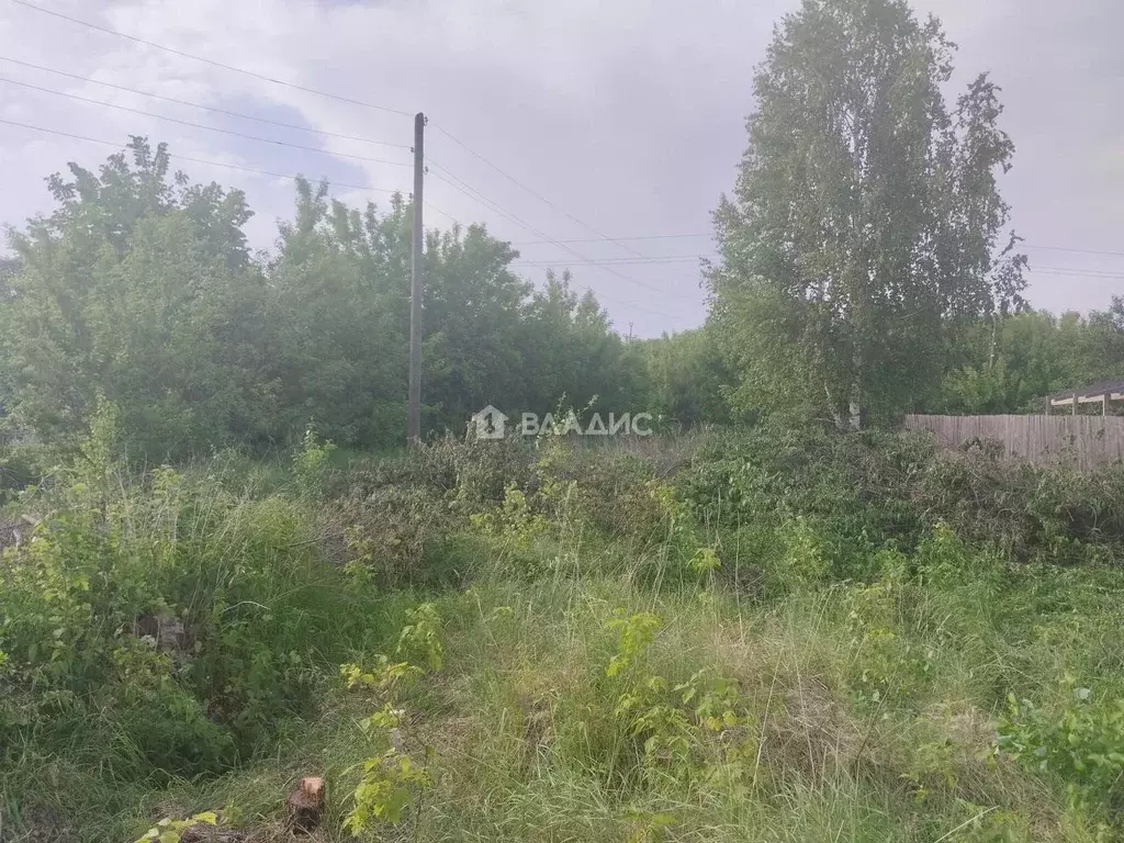 Участок в Владимирская область, Вязниковский район, пос. Никологоры ... - Фото 2