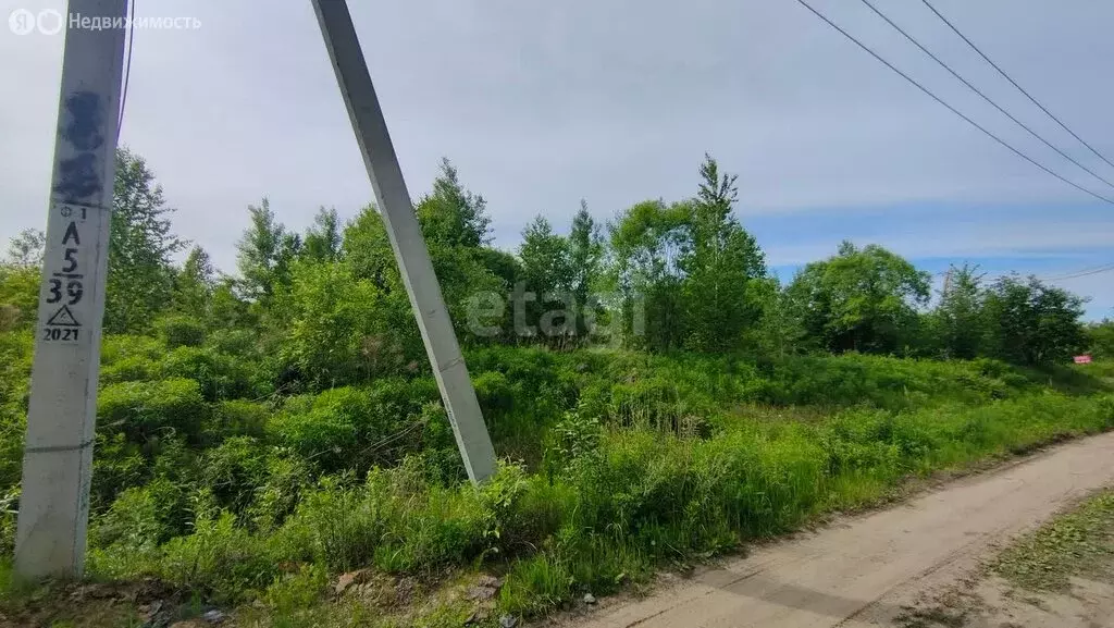 Участок в Хабаровск, садовое товарищество Виктория (13.3 м) - Фото 0
