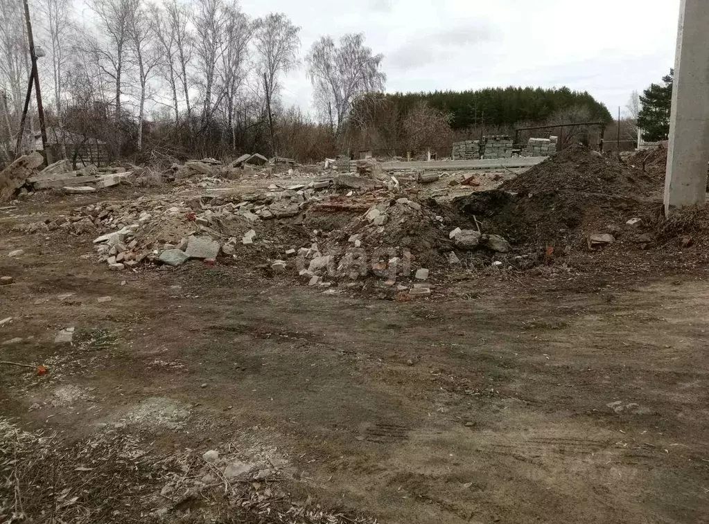 Участок в Курганская область, Шадринский муниципальный округ, с. ... - Фото 1