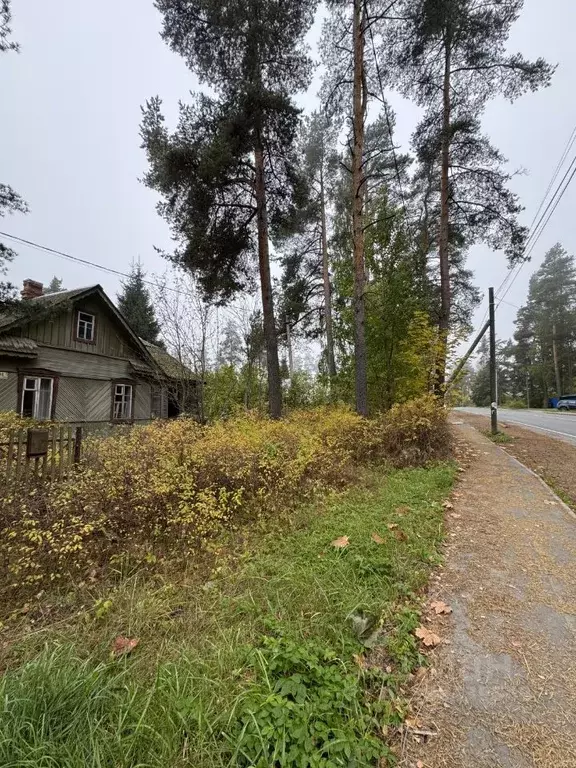Участок в Ленинградская область, Приозерский район, пос. Сосново ул. ... - Фото 2