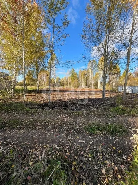 Участок в Башкортостан, Уфа Самишки ТСН, 343 (15.0 сот.) - Фото 2