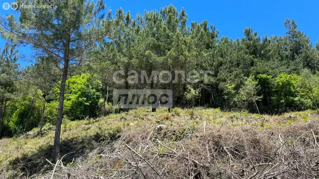 Участок в село Ольгинка, 3-й микрорайон, 23 (10 м) - Фото 1