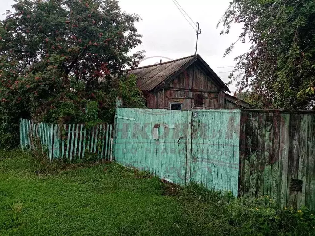 Дом в Курганская область, с. Белозерское ул. Пичугина (35 м) - Фото 1
