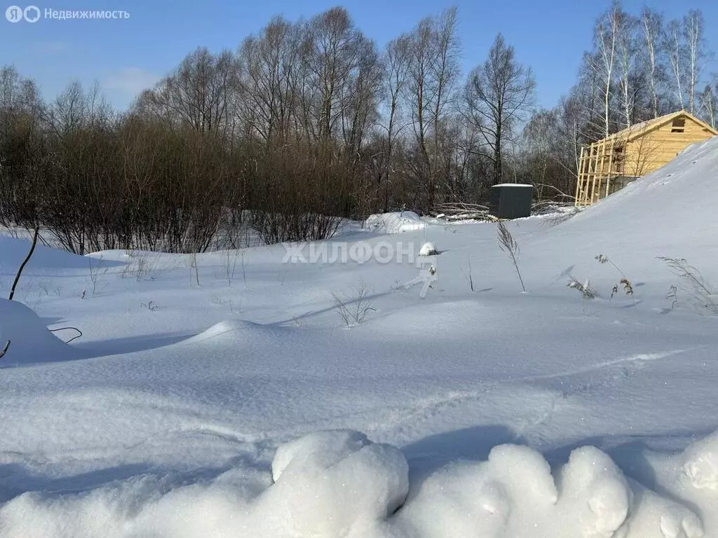 Участок в Новосибирский район, Каменский сельсовет, село Каменка ... - Фото 1