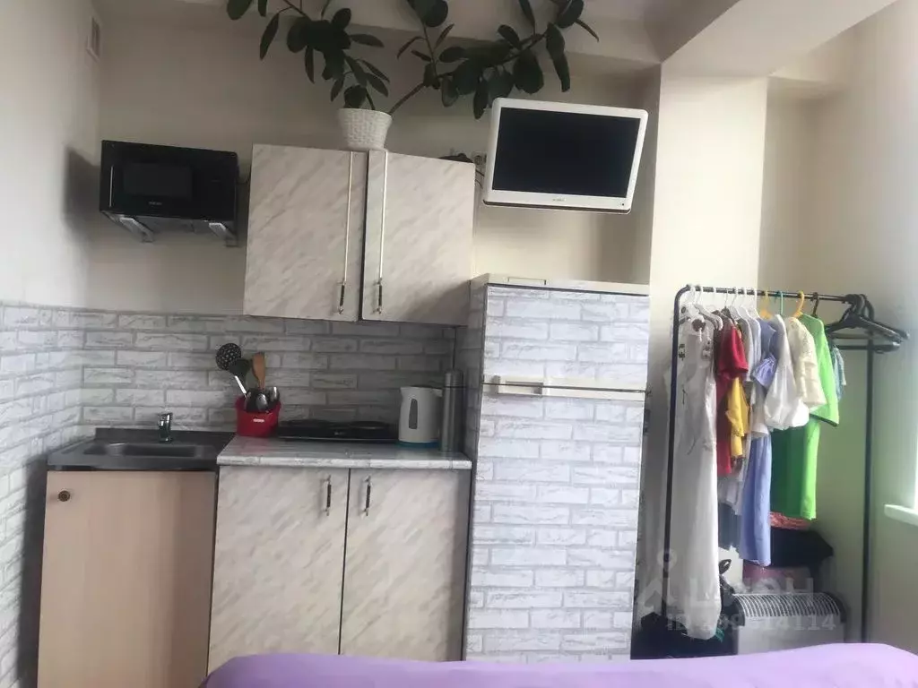 Студия Краснодарский край, Сочи Светлана мкр, ул. Лысая Гора, 27/11 ... - Фото 1