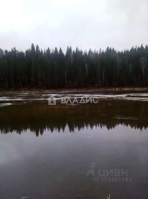Дом в Пермский край, Суксунский городской округ, д. Красный Луг ул. ... - Фото 0