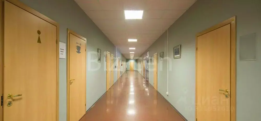 Офис в Санкт-Петербург ул. Рентгена, 5А (85 м) - Фото 1