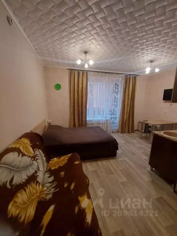 Студия Воронежская область, Воронеж ул. Кривошеина, 13/9 (27.0 м) - Фото 1