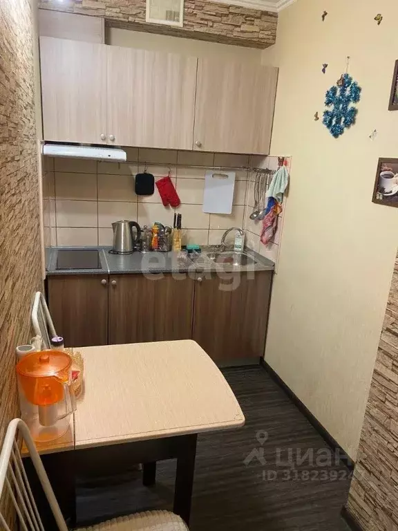 2-к кв. Новосибирская область, Новосибирск ул. Виктора Шевелева, 30 ... - Фото 0