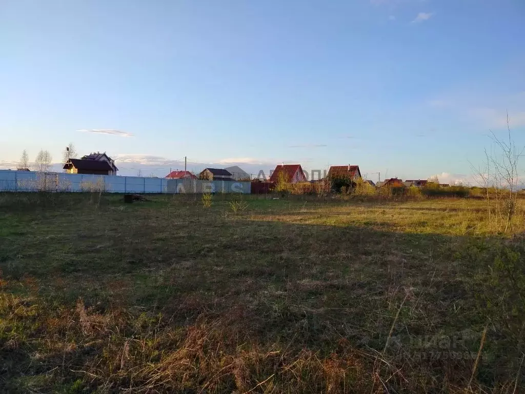 Участок в Новгородская область, Новгородский район, Ракомское с/пос, ... - Фото 1