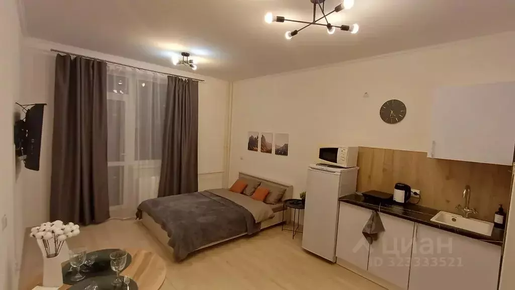 Студия Ленинградская область, Мурино Всеволожский район, просп. ... - Фото 2