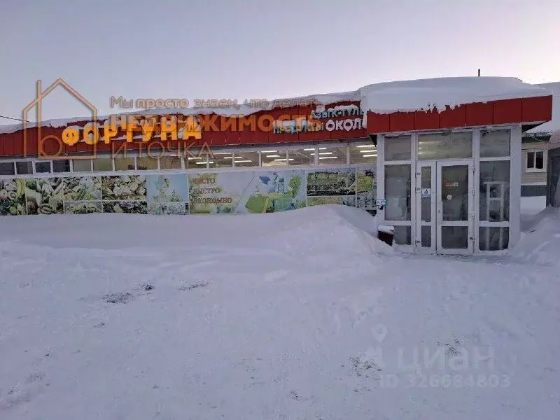 Торговая площадь в Башкортостан, Дюртюли ул. 50-летия Победы, 42/1 ... - Фото 1