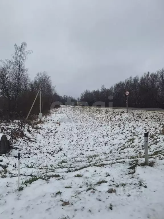 Участок в Тульская область, Веневский муниципальный округ, с. Хавки  ... - Фото 2