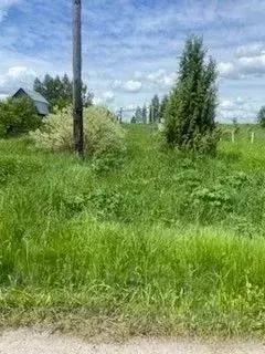 Участок в Московская область, Егорьевск муниципальный округ, д. Малая ... - Фото 1