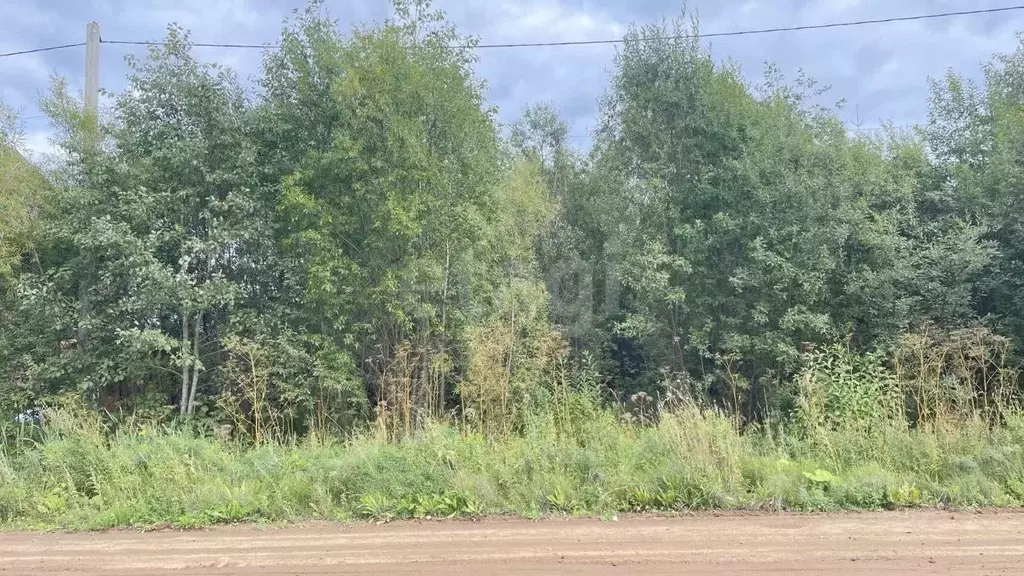 Участок в Архангельская область, Котлас ул. Таежная, 31 (10.0 сот.) - Фото 1