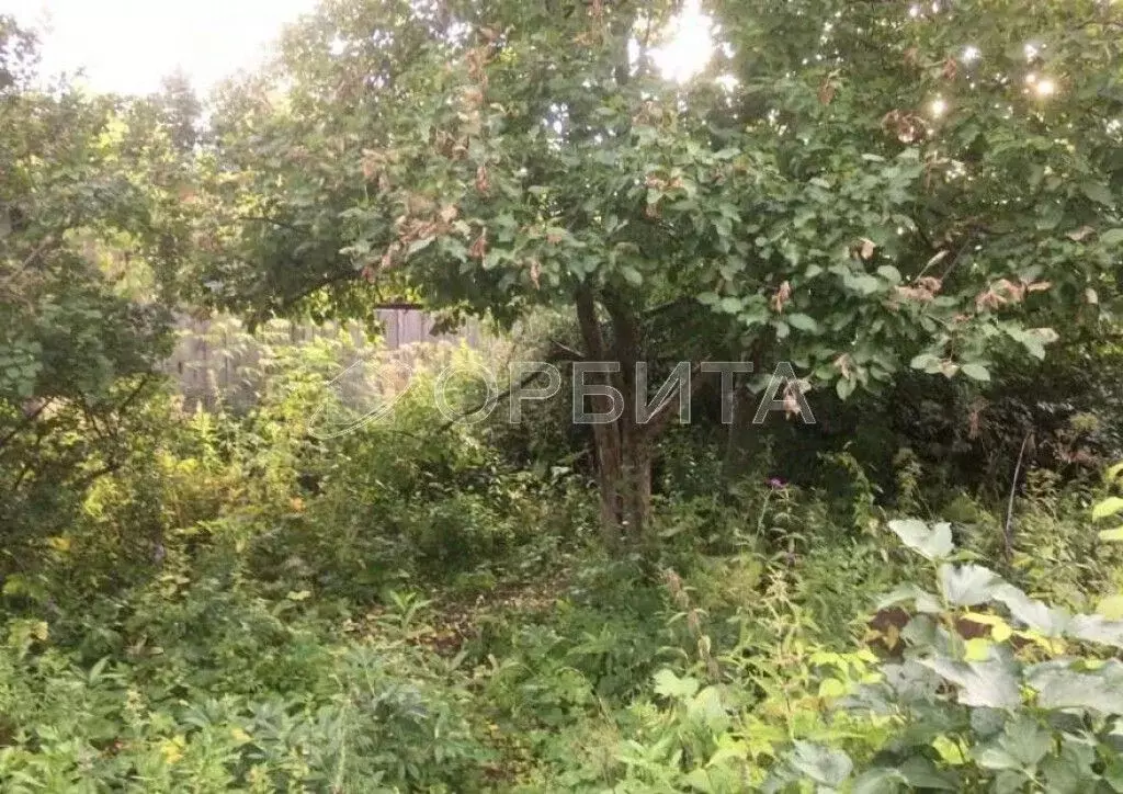 Участок в Тюменская область, Тюмень ул. Рябиновая (6.0 сот.) - Фото 0